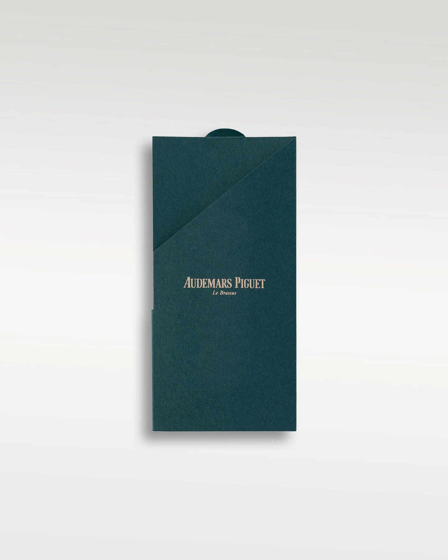 Audemars Piguet Royal Oak 15510ST