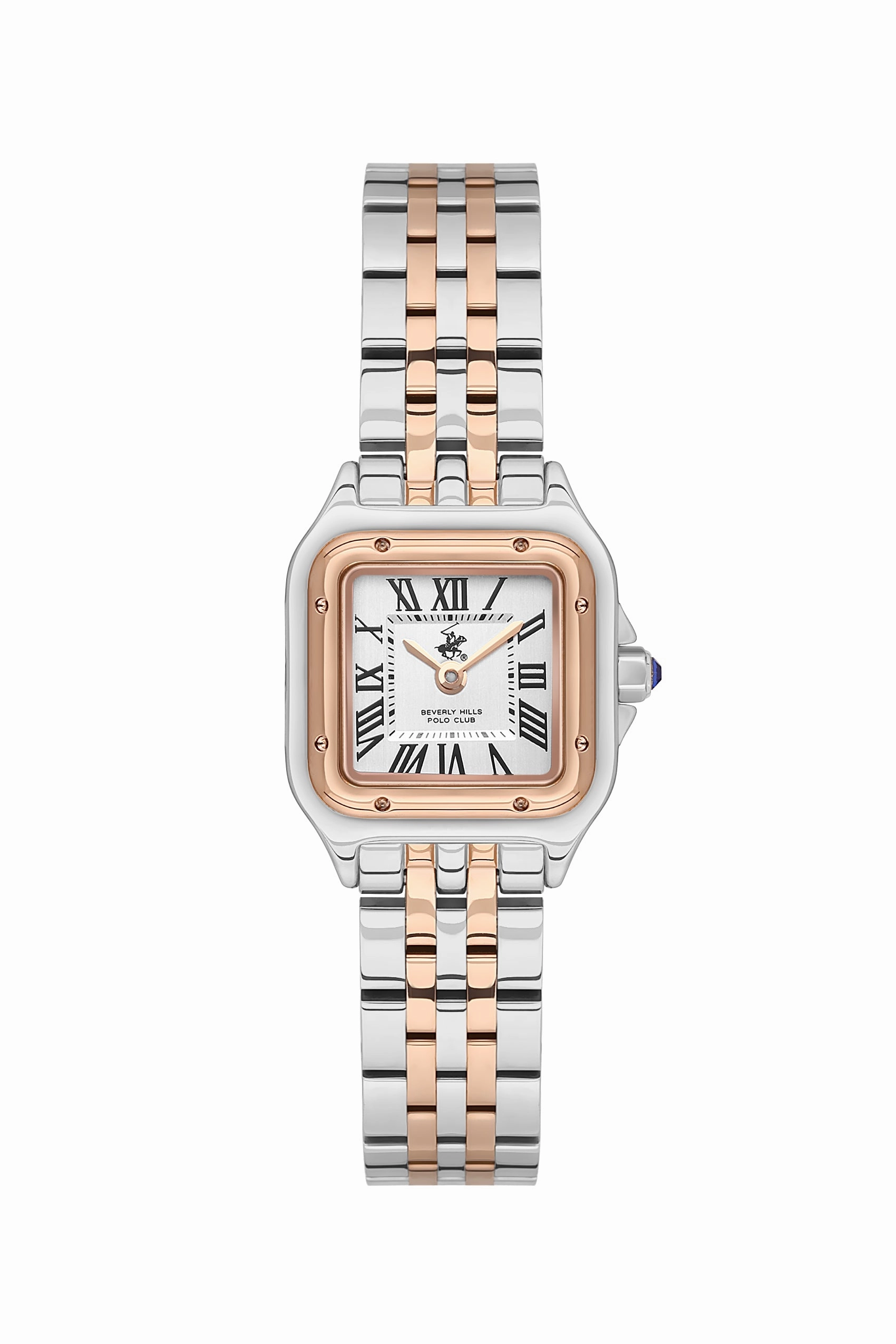BHPC - BP3600C.530 - WOMEN STAINLESS WRIST WATCH