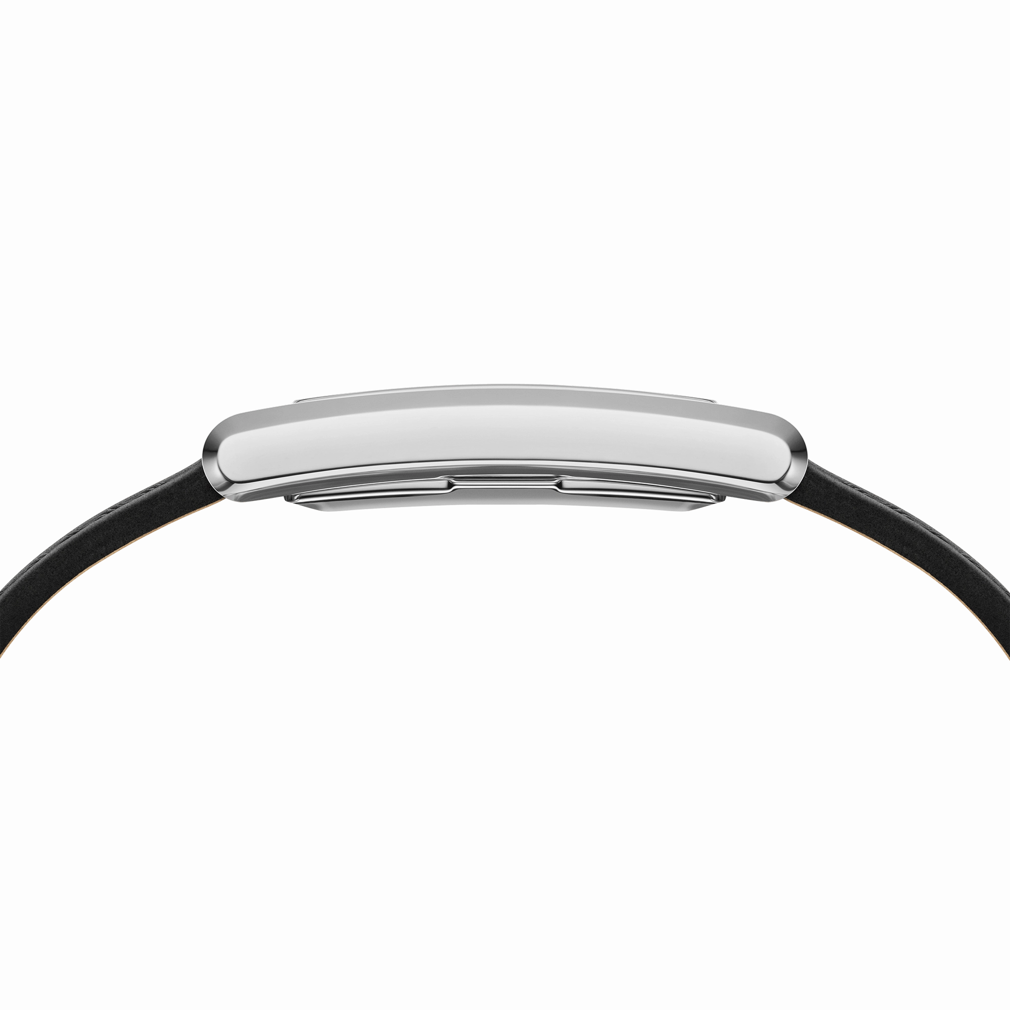 Bound Black Crocodile Silver