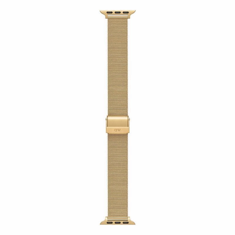 Daniel Wellington Smartwatch Mesh Strap Gold