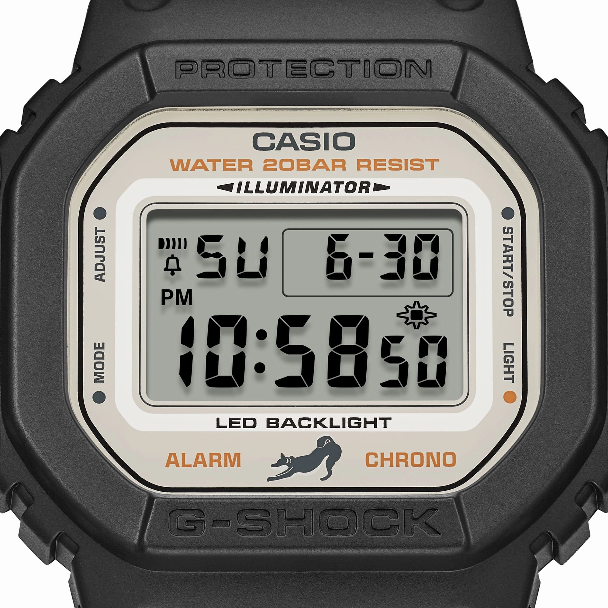 DW5600SHB-1D