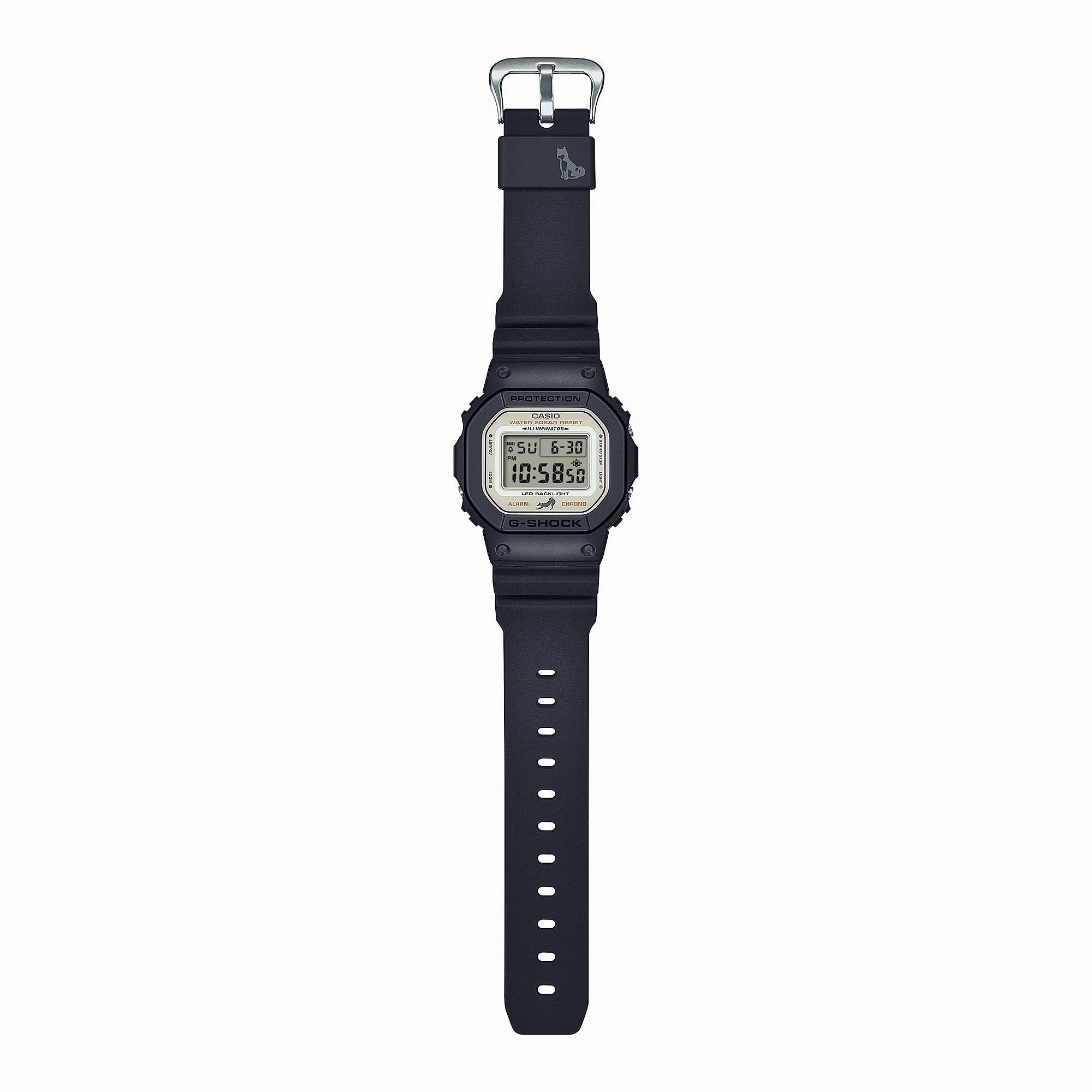 DW5600SHB-1D