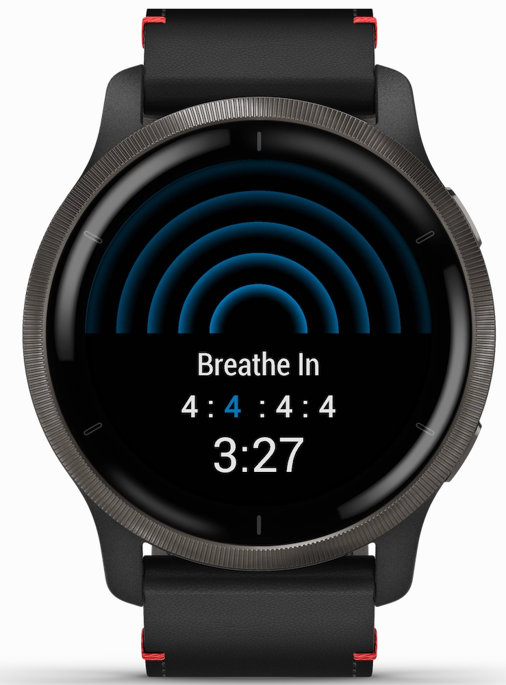 Garmin Venu 2 Slate Watch