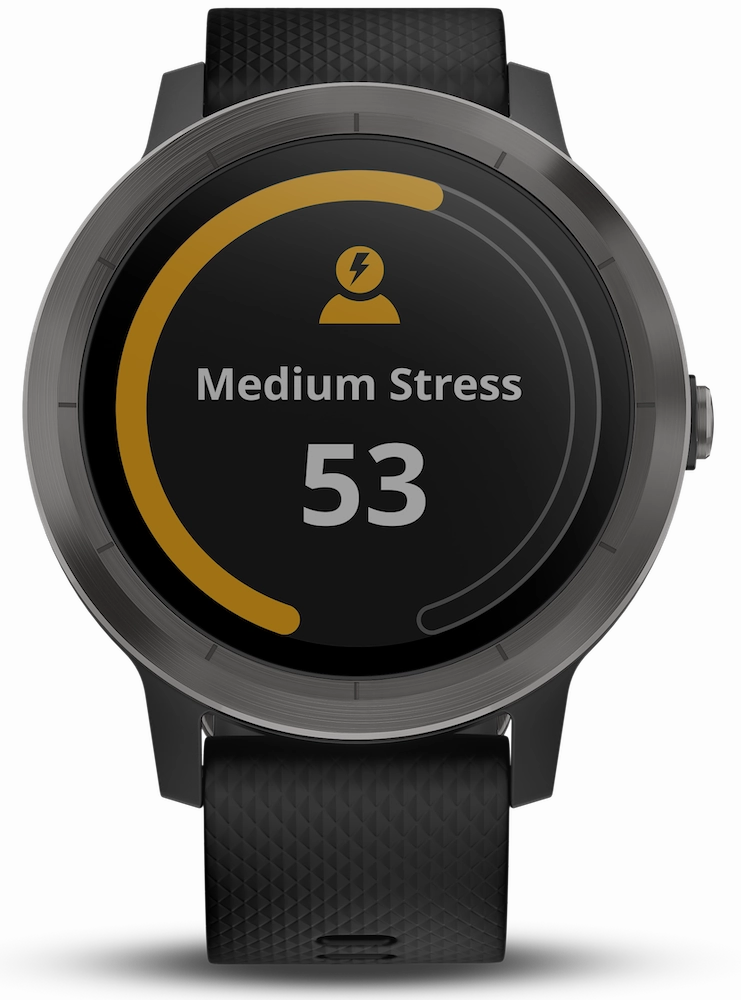 Garmin Watch Vivoactive 3 Slate D