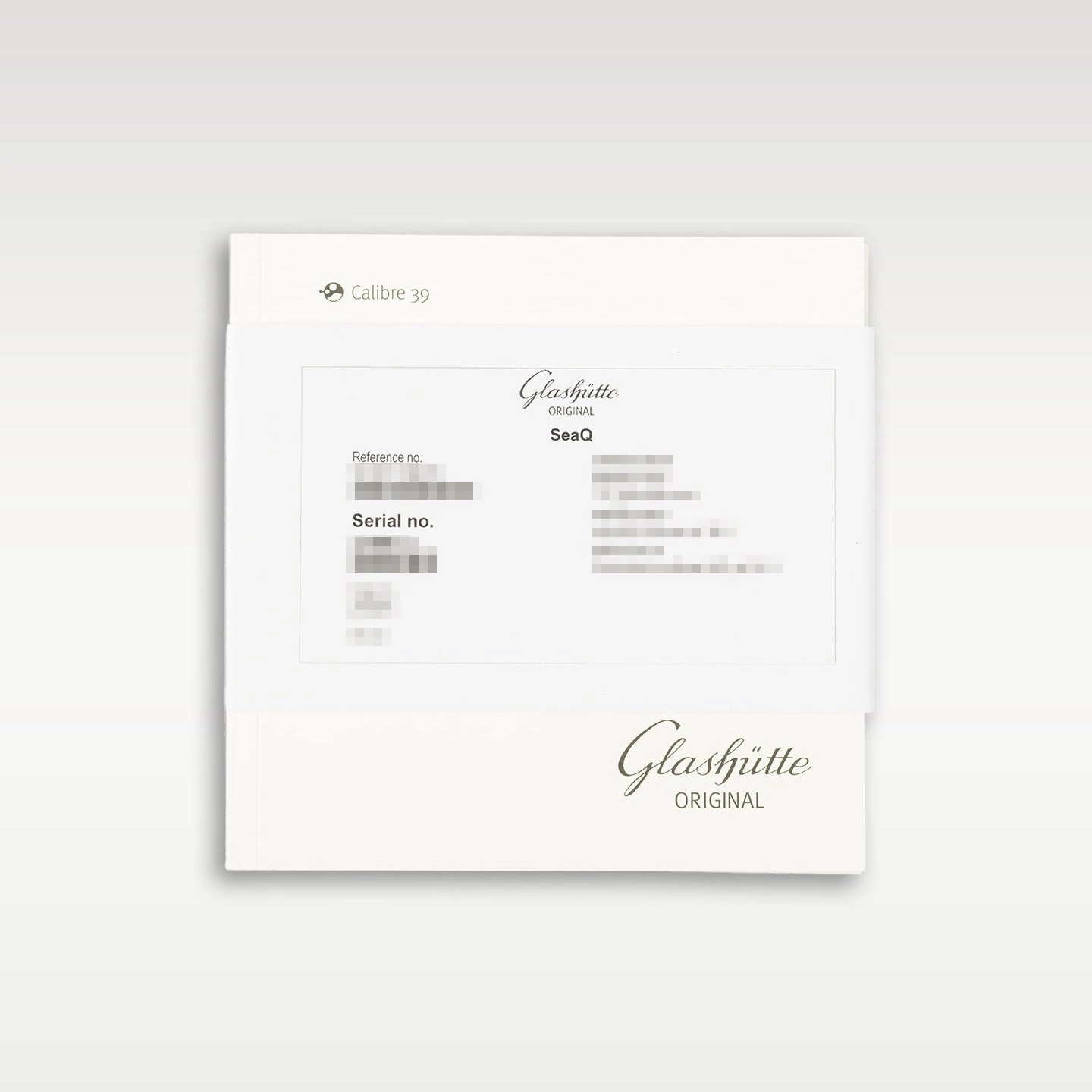 Glashutte Original Seaq 13911138370