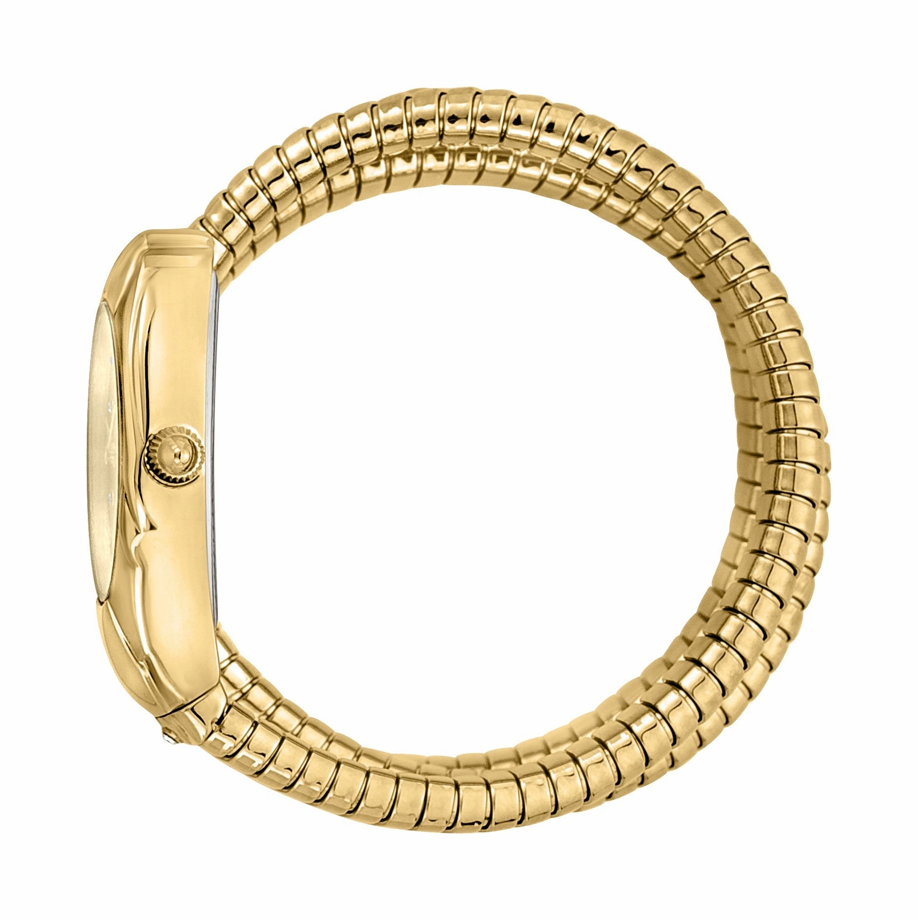Ladies Serpente emozioni Watch (JC1L184M0025)