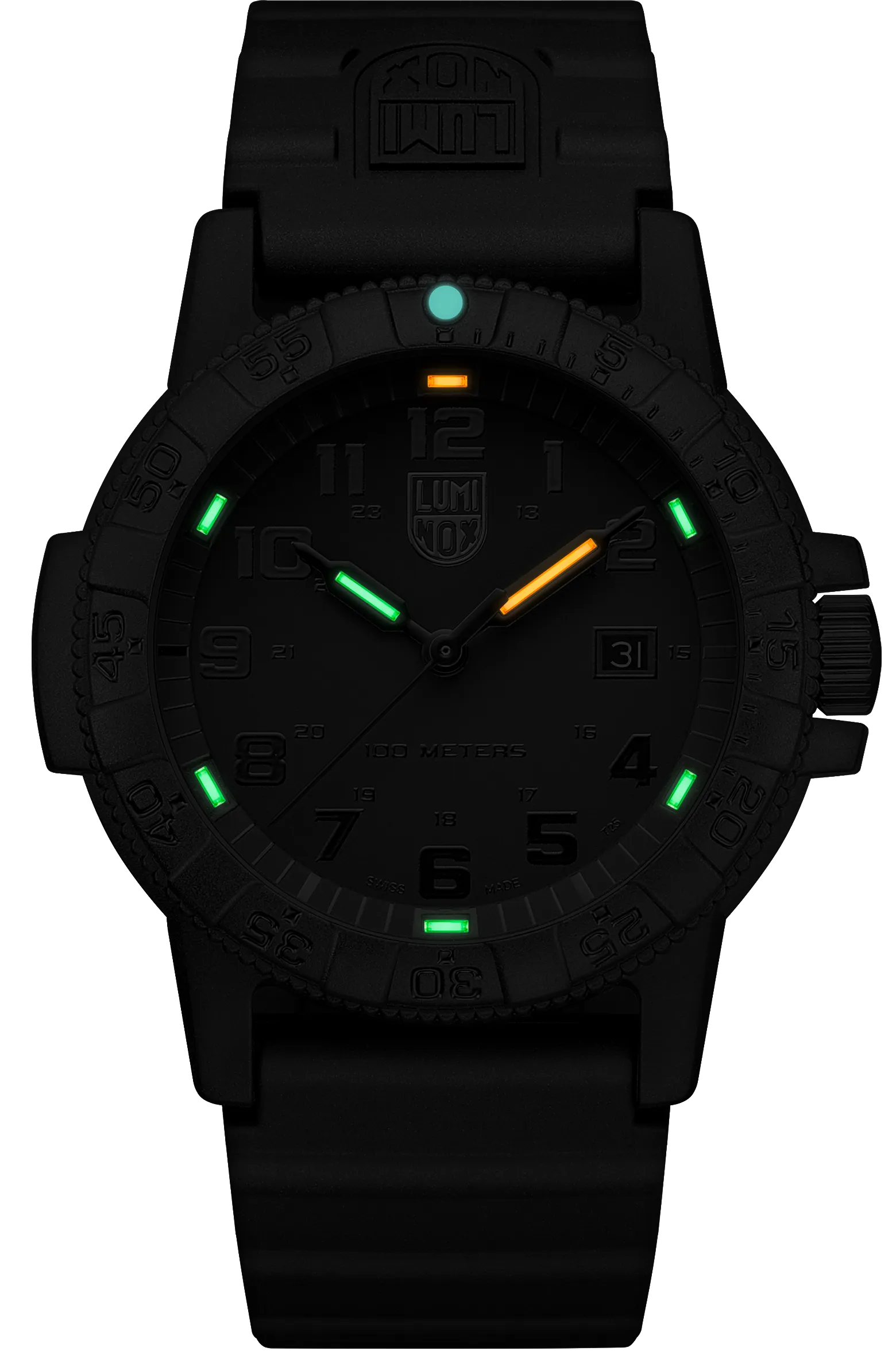 Luminox Sea Turtle Giant 0320 Series Watch