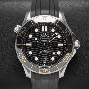 Omega Seamaster 210.22.42.20.01.002