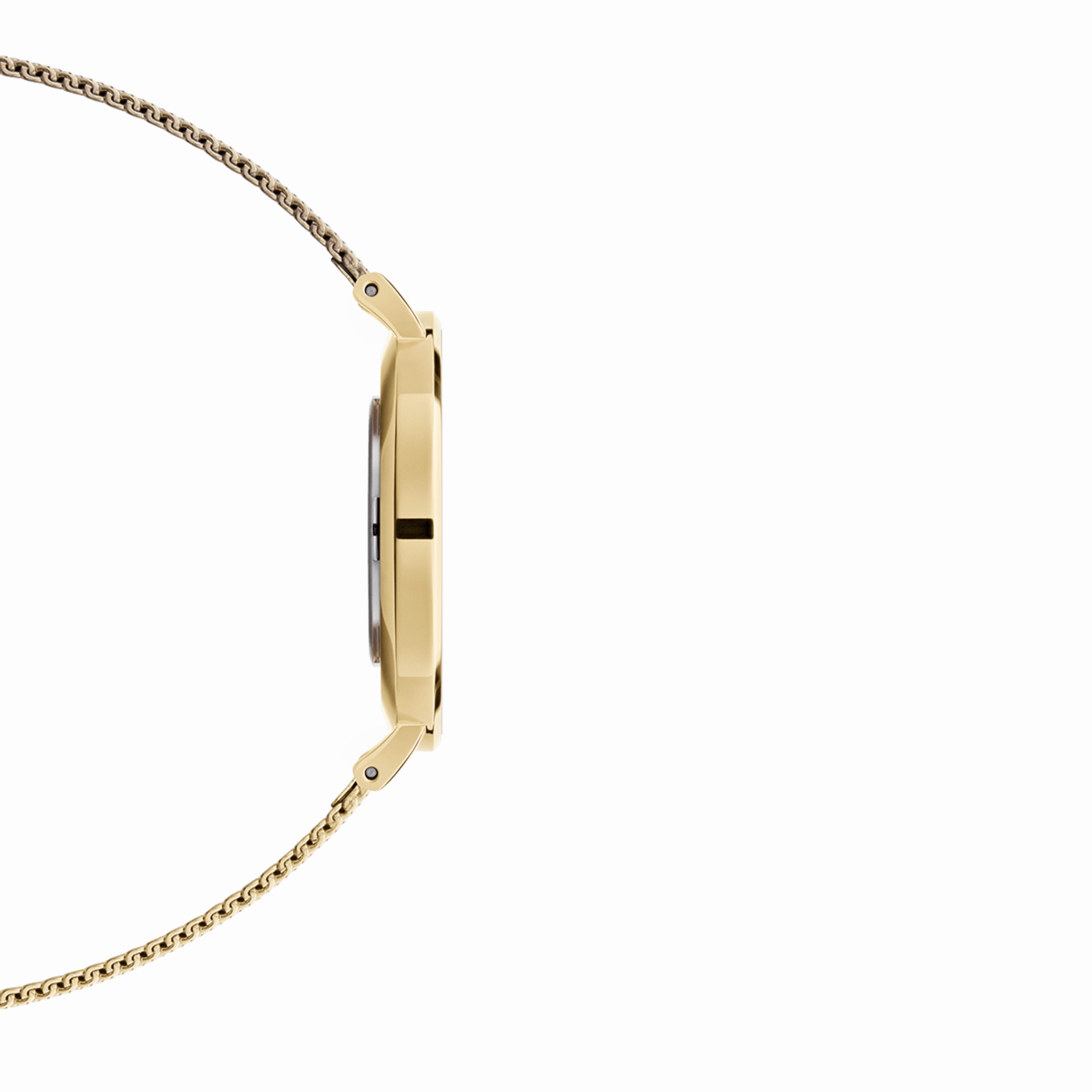 Petite Evergold