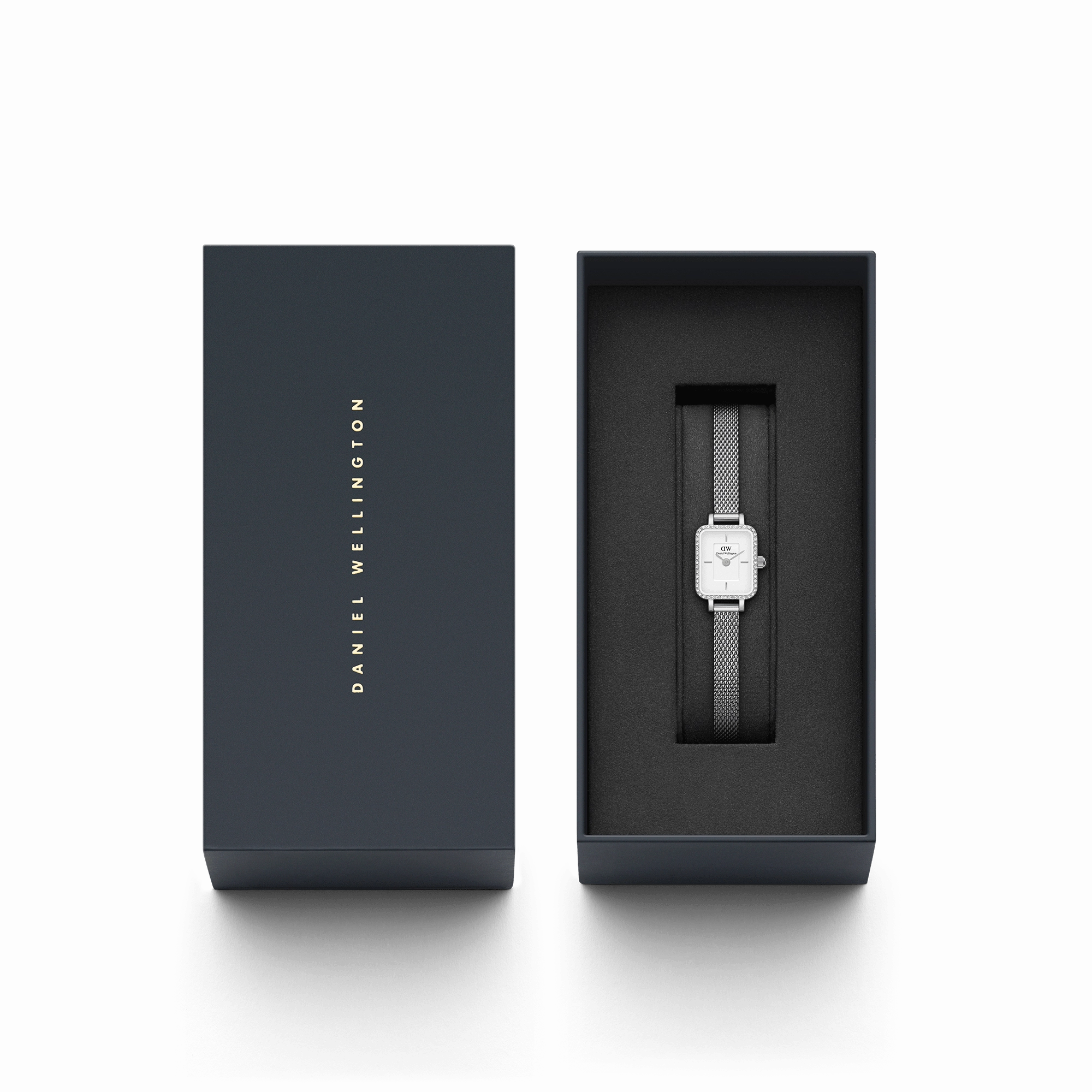 Quadro Mini Lumine Bezel Silver
