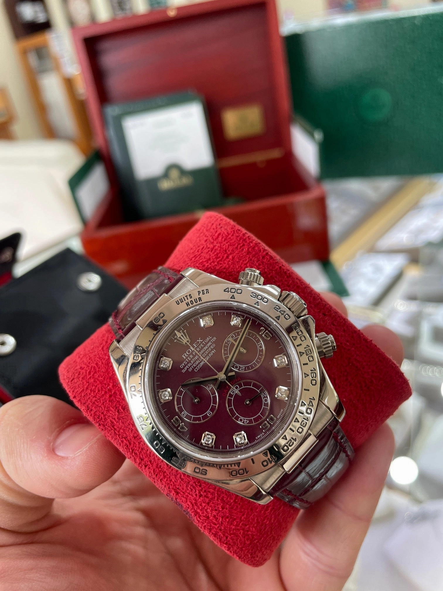 Rolex Daytona 116519 White Gold Factory Diamond Rubellite Grossular Dial Box and Papers PreOwned