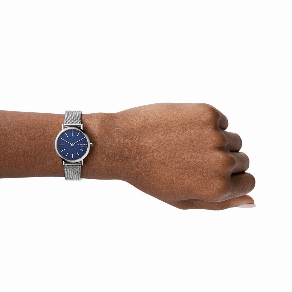 Skagen Signatur Lille Steel Mesh Watch SKW2759