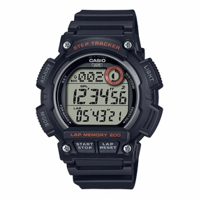 WS2100H-1A