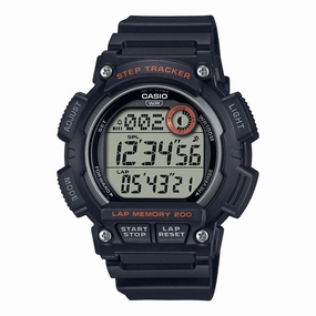 WS2100H-1A